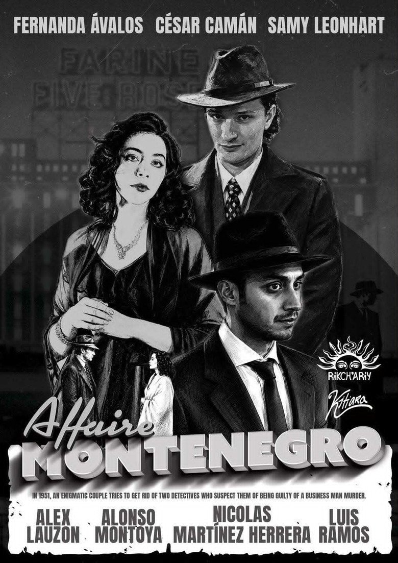 The Montenegro Affair (2026) official movie poster