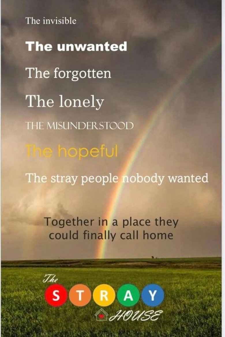 The Stray House (2026) official movie poster