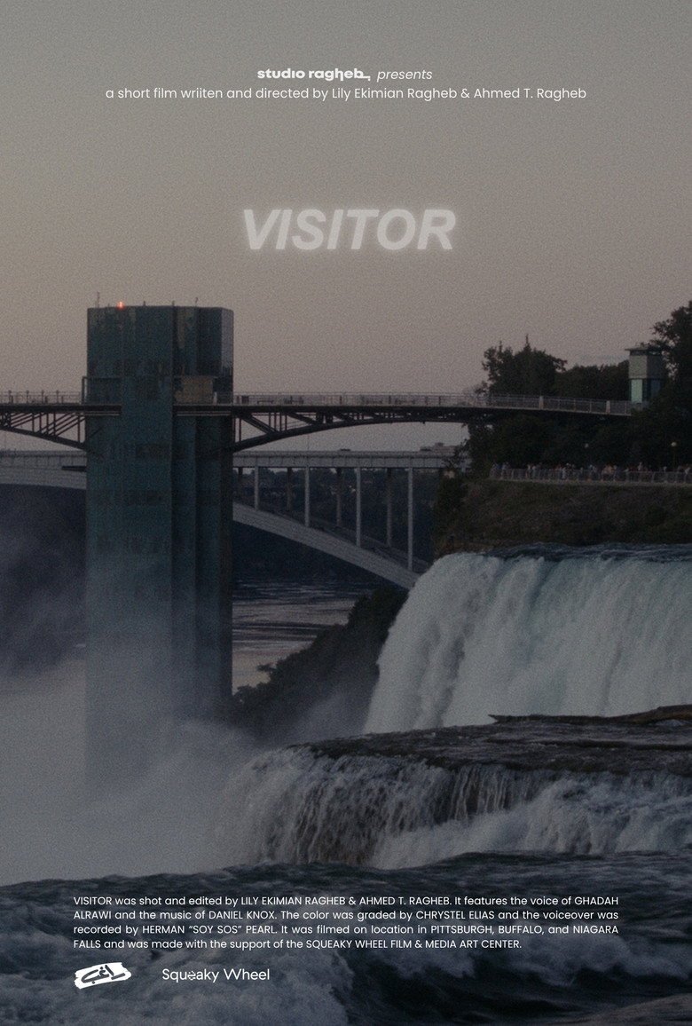 Visitor (2026) official movie poster