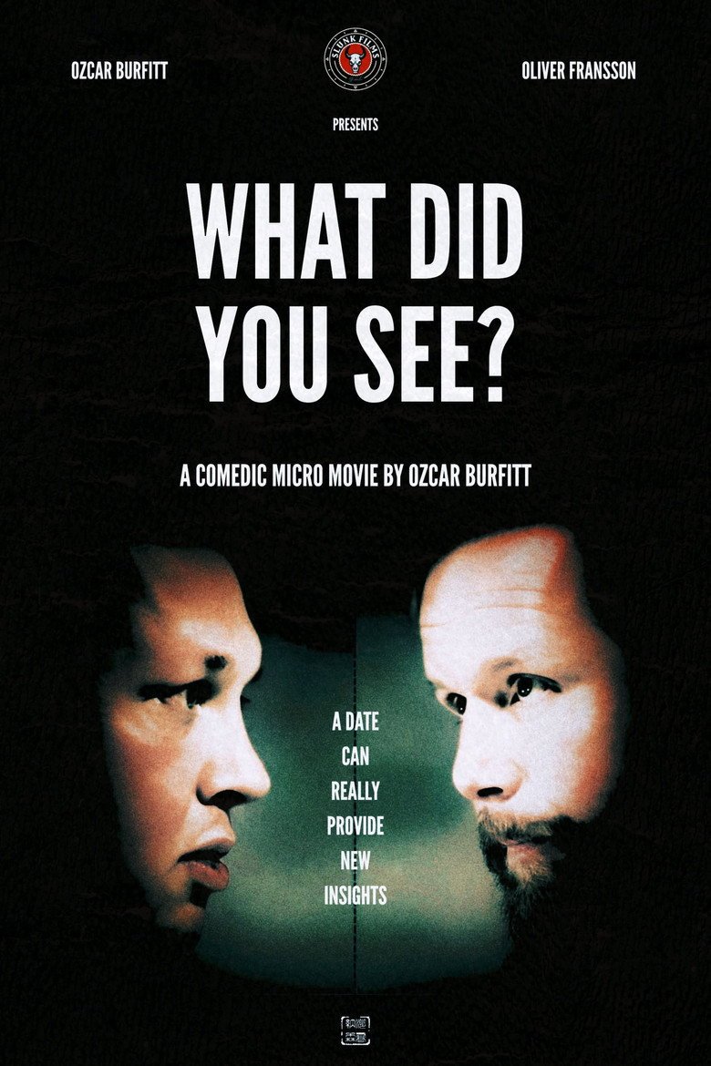 What Did You See? (2026) official movie poster