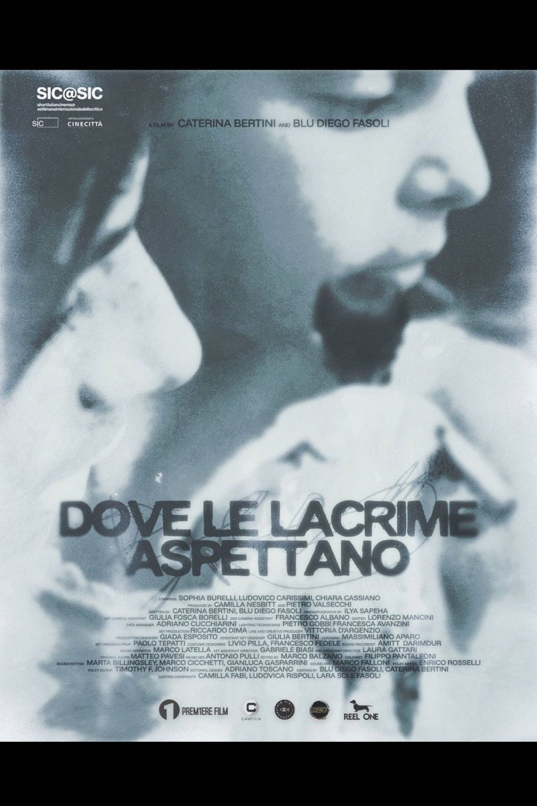 Where The Tears Await official movie poster
