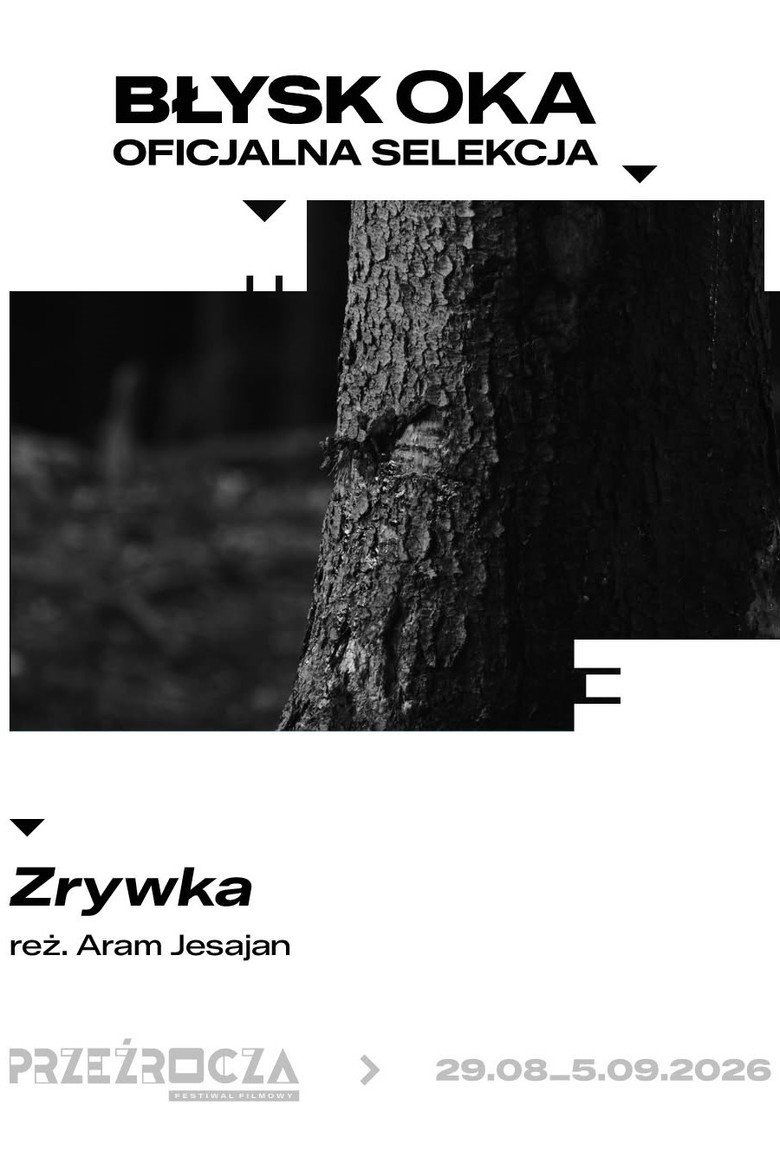 Zrywka (2026) official movie poster