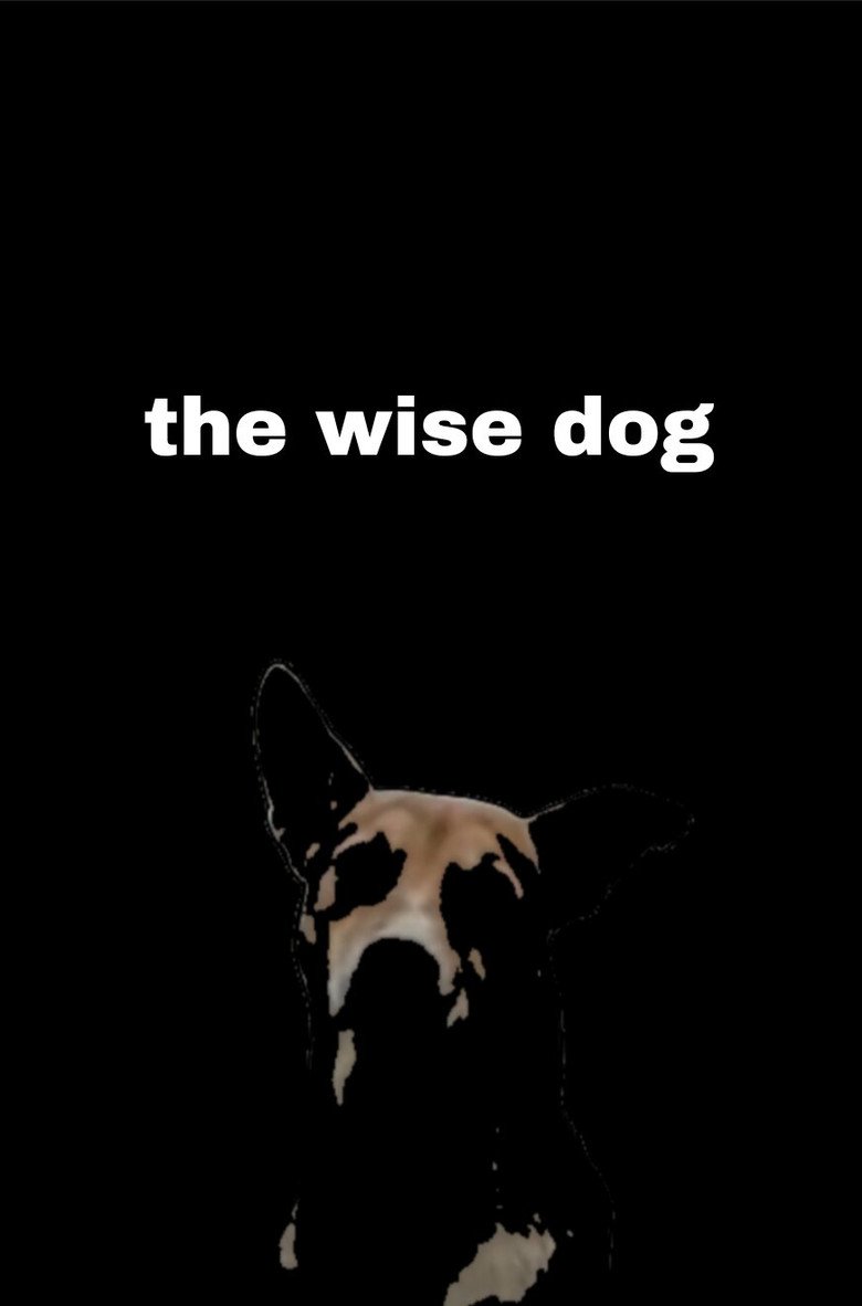 the wise dog (2026) official movie poster