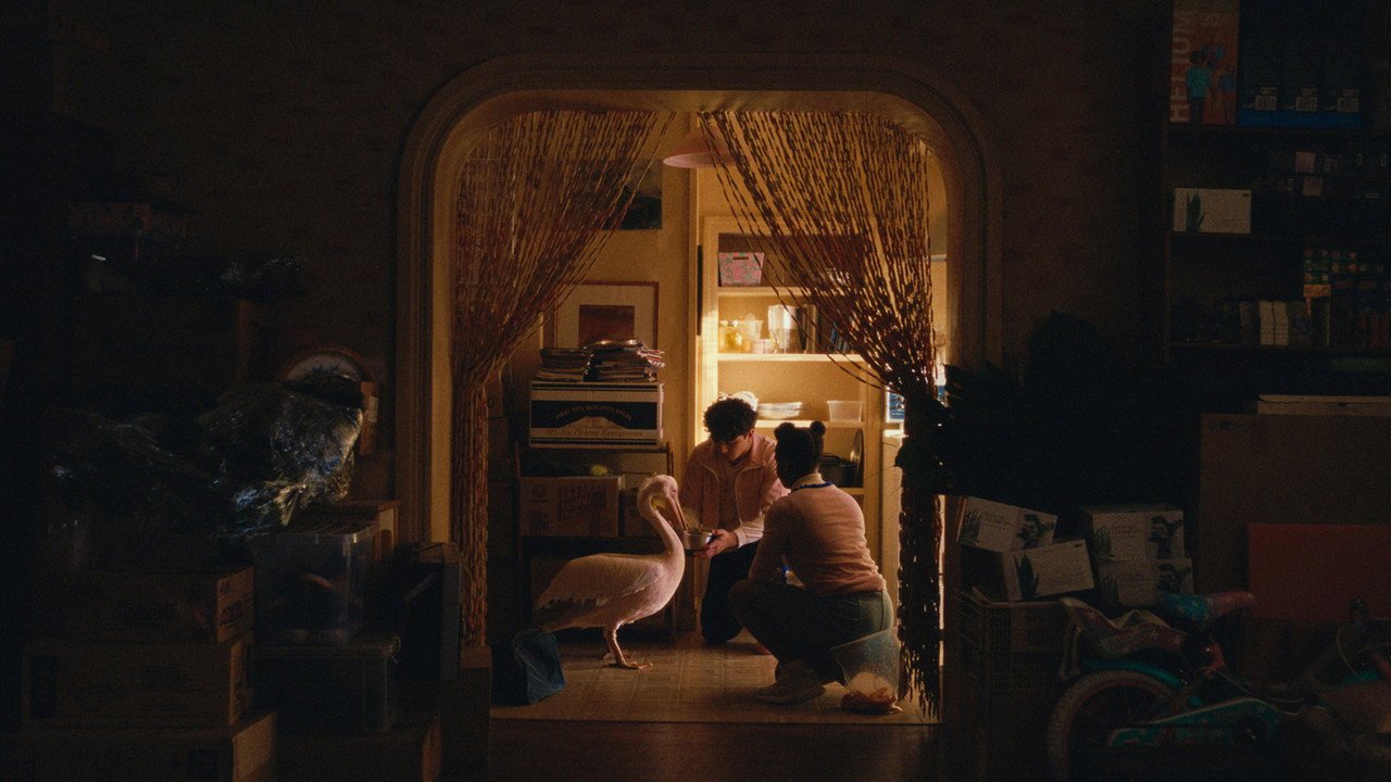 Butterfly Jam (2026) movie scene
