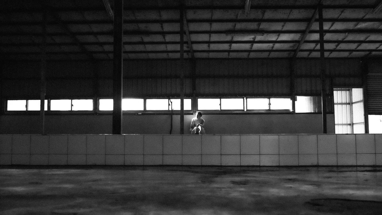 Dragon (2026) movie scene