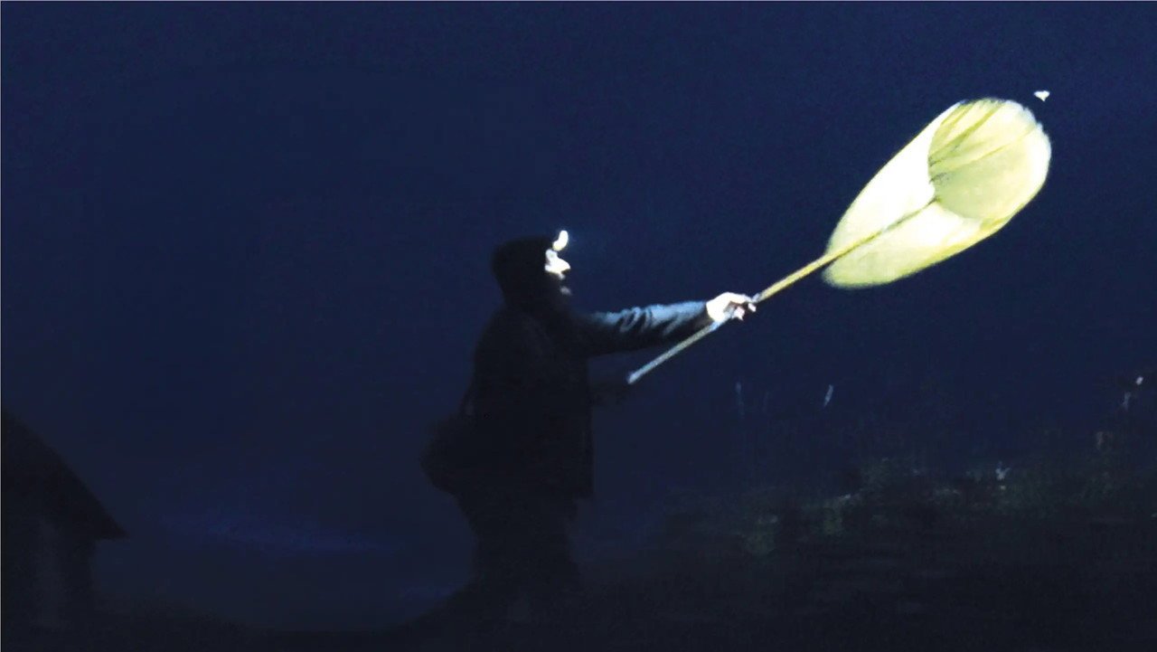 The Illusion of a Quiet Night (2026) movie scene