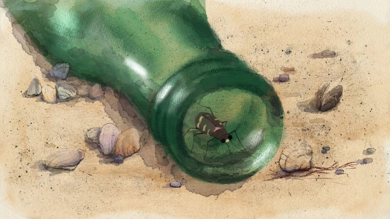 See the Sea (2026) movie scene