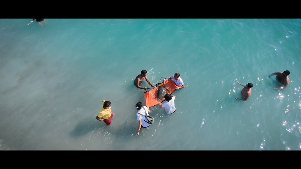 From Darkness to Blue (2026) movie scene