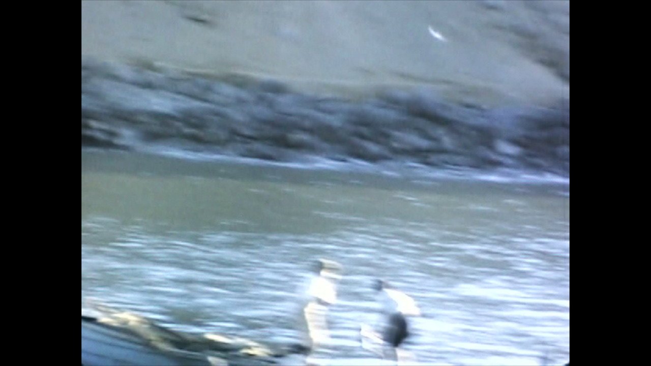 Peru is a place to die (2026) movie scene