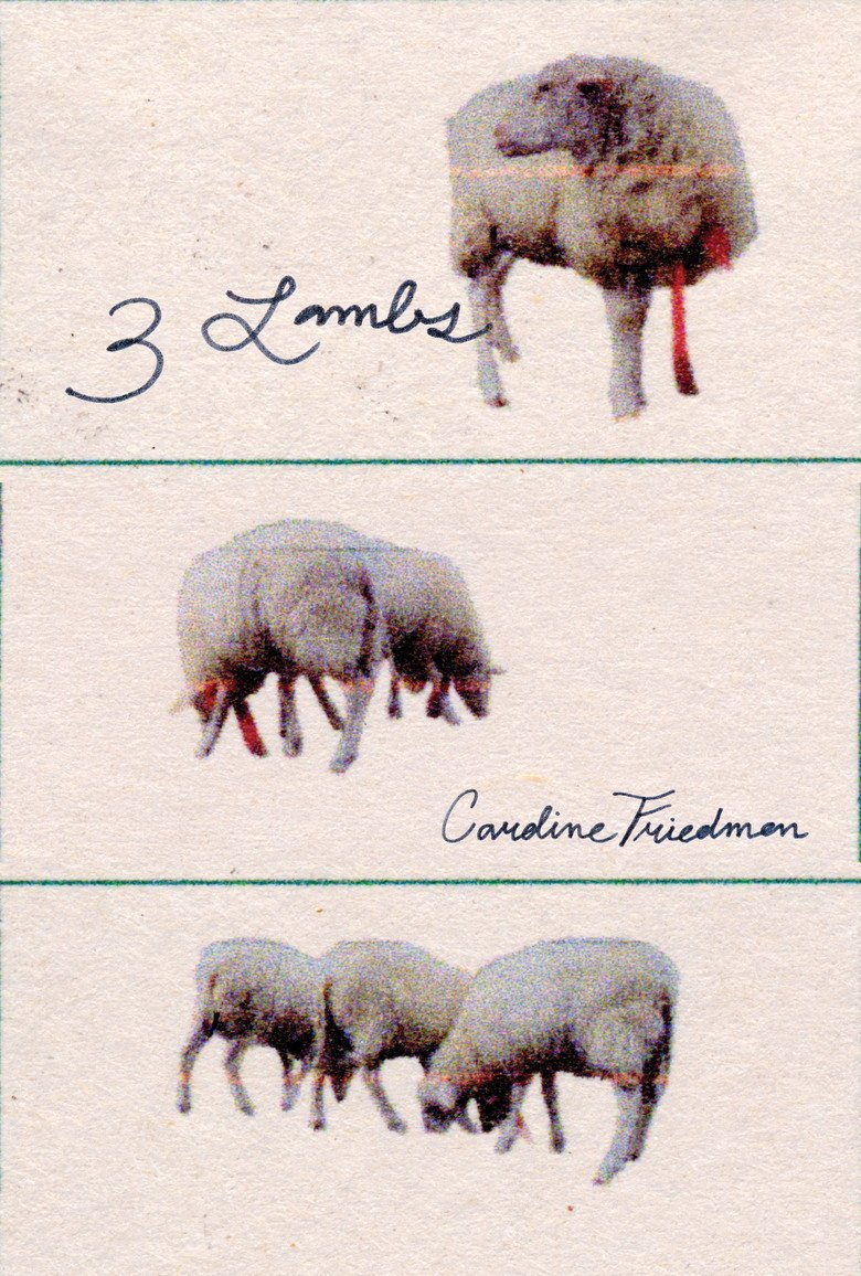 3 Lambs (2026) official movie poster