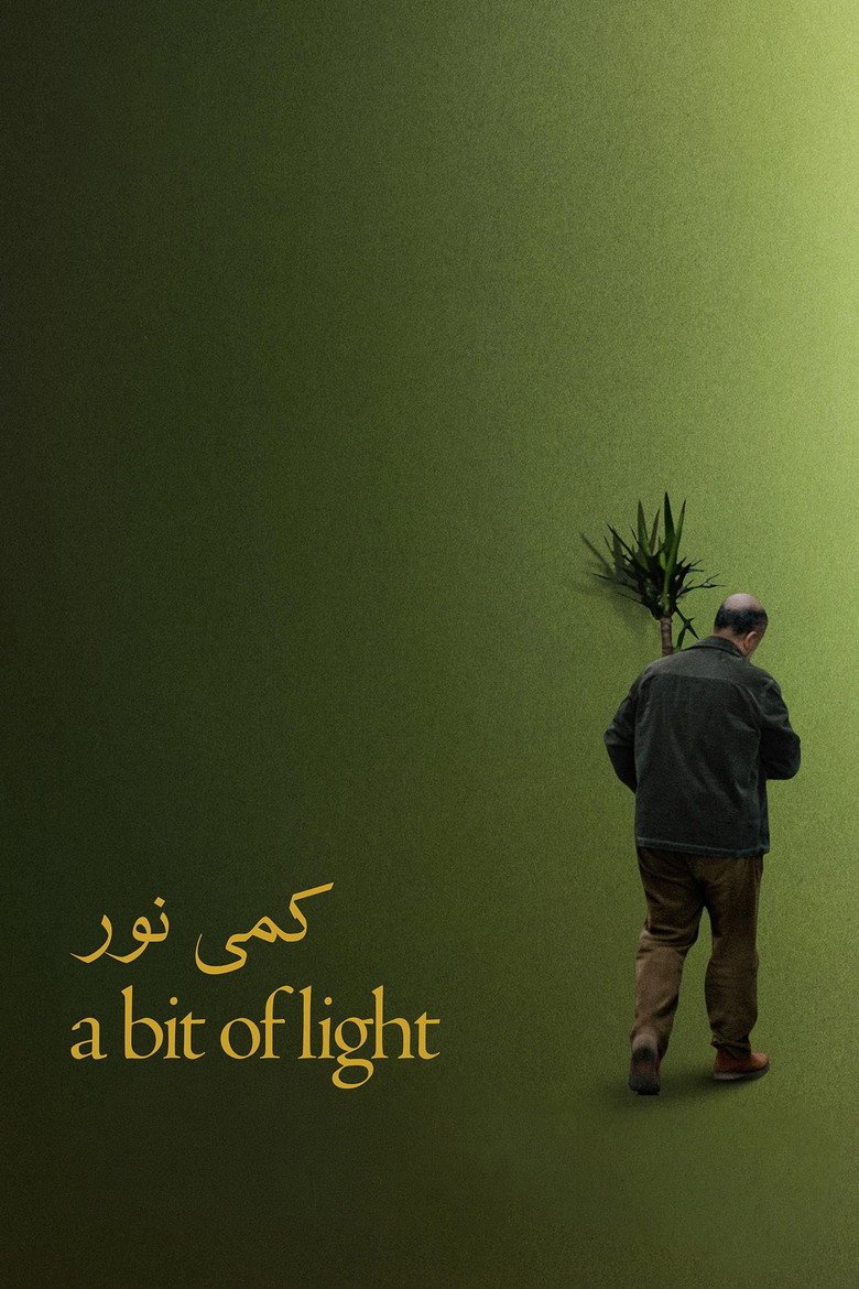 A Bit of Light (2026) official movie poster