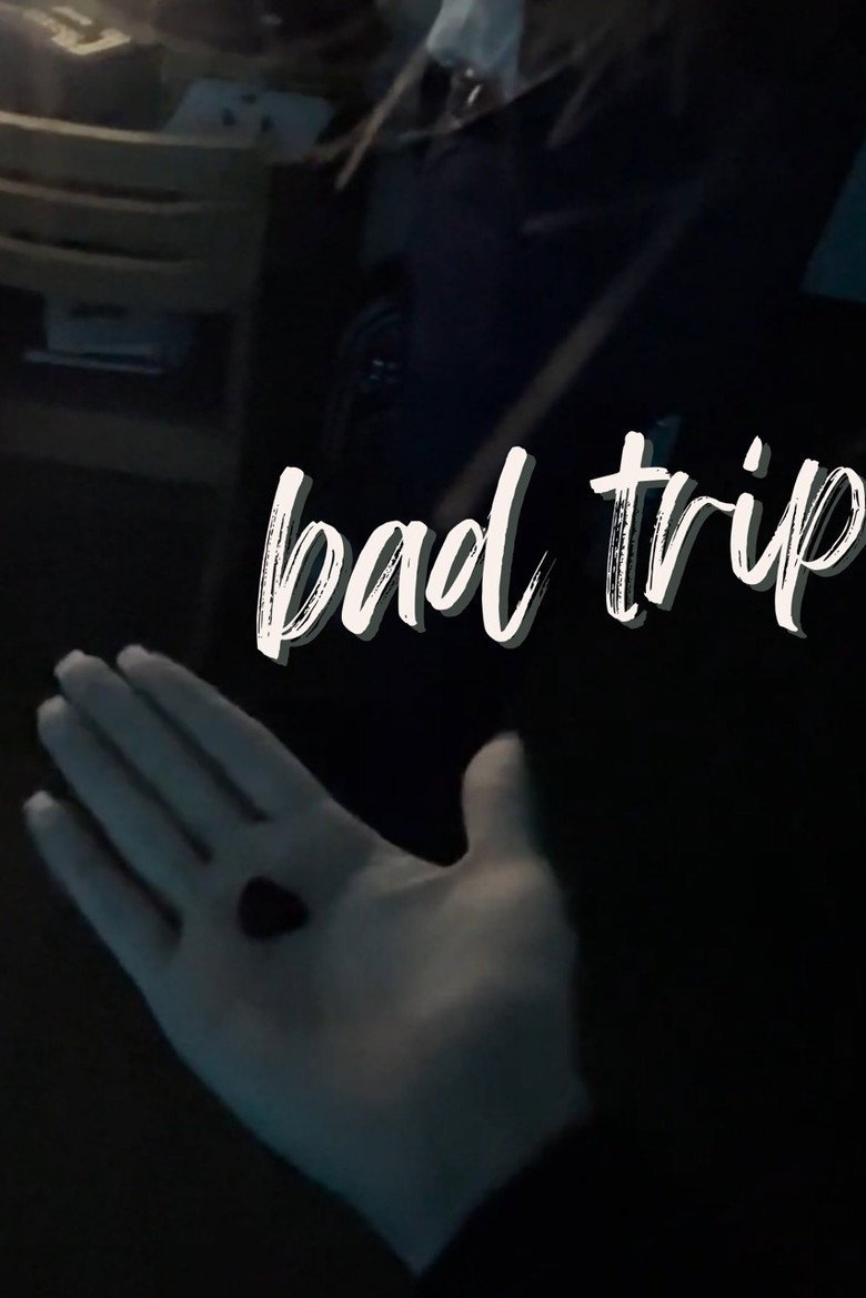 Bad Trip (2026) official movie poster