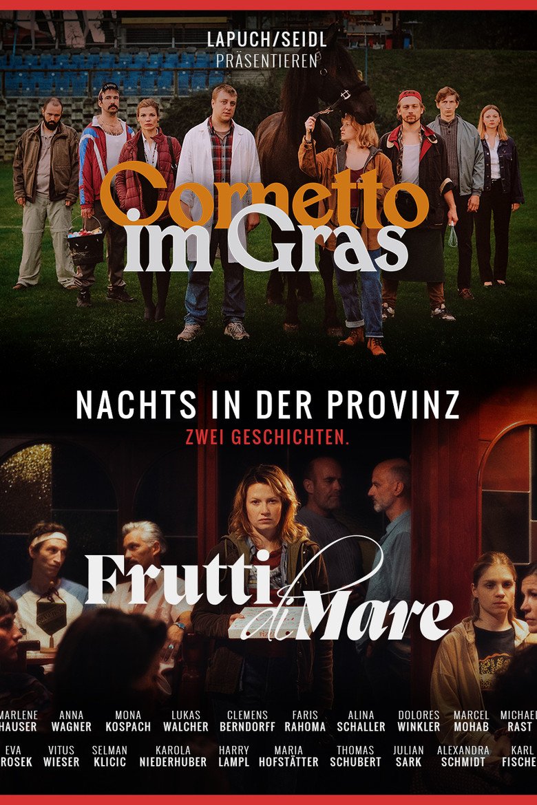 Nachts in der Provinz (2026) official movie poster
