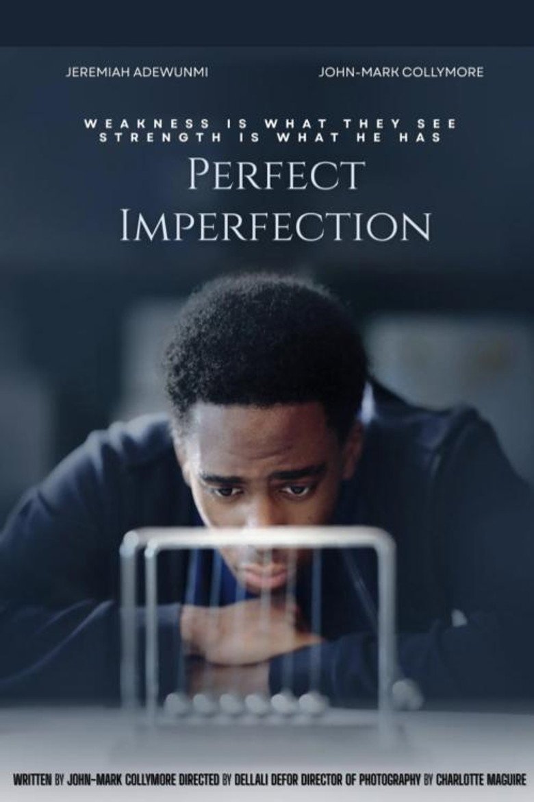 Perfect Imperfection (2026) official movie poster