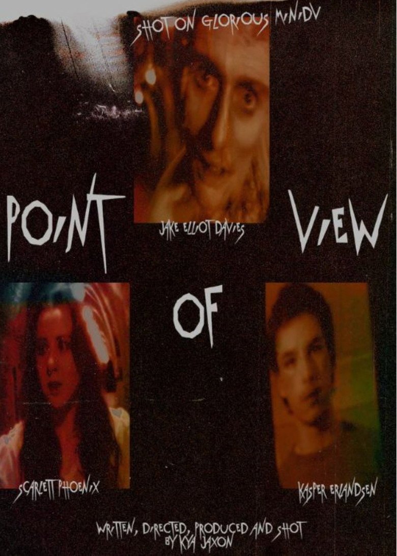 Point of View (2026) official movie poster