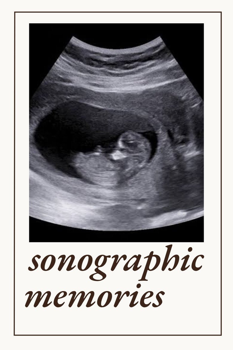 Sonographic Memories (2026) official movie poster