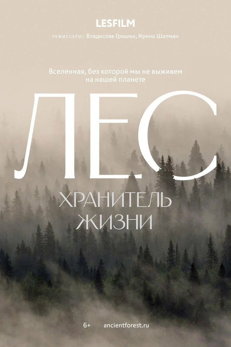The Forest (2026) official movie poster