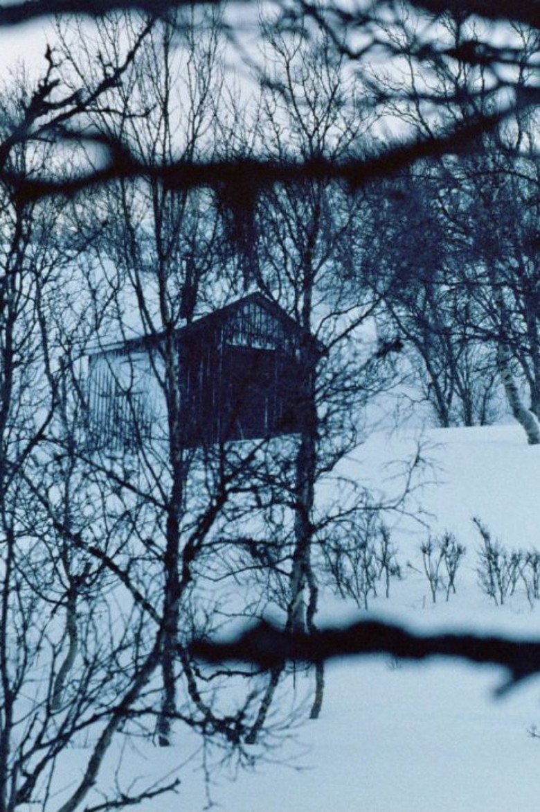 The Girl looking for the cabin (2026) official movie poster