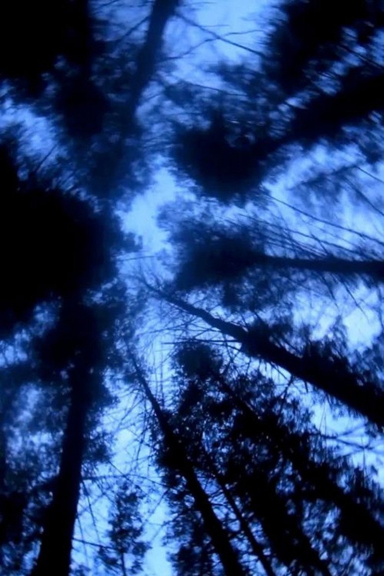 The Paranormal Experience That Inspired The Blair Witch Project (2026) official movie poster