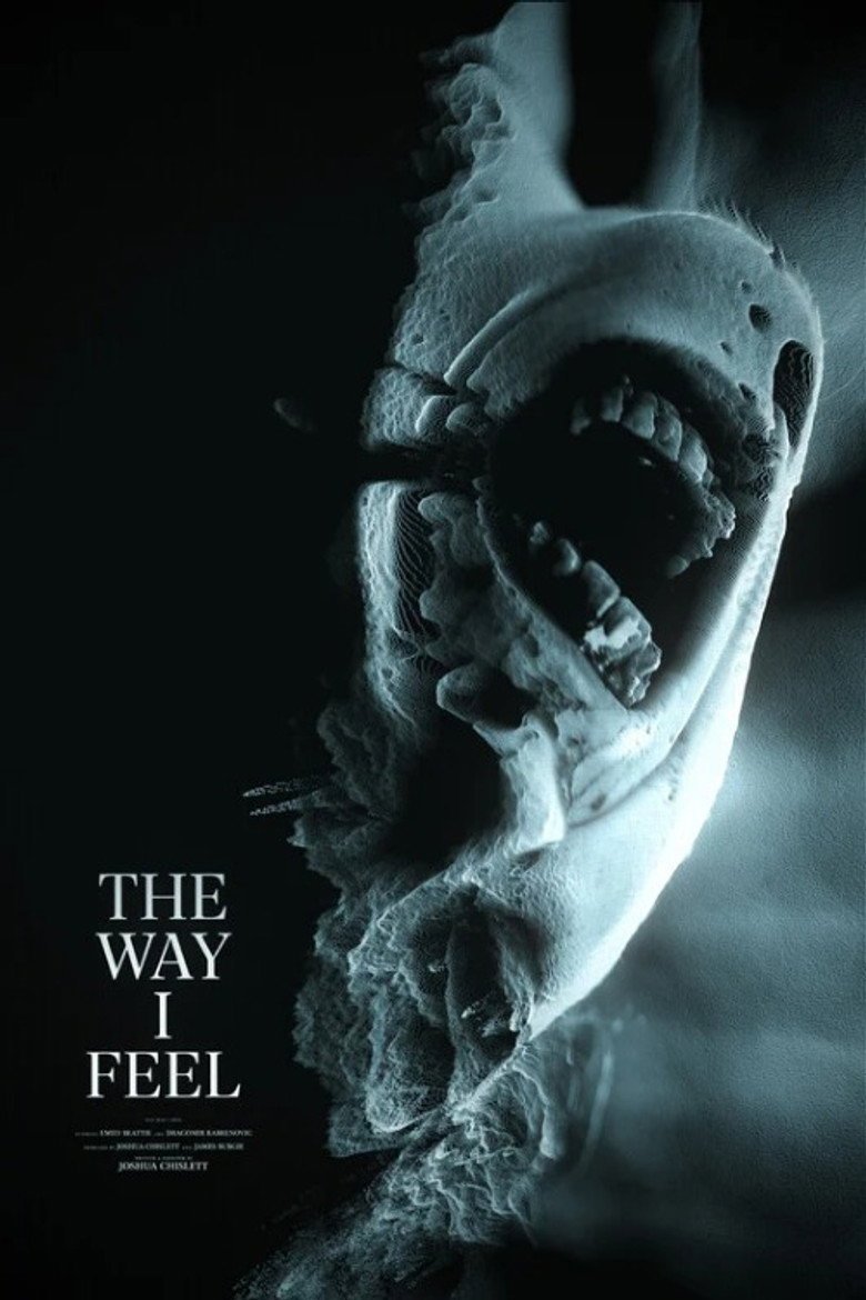 The Way I Feel official movie poster