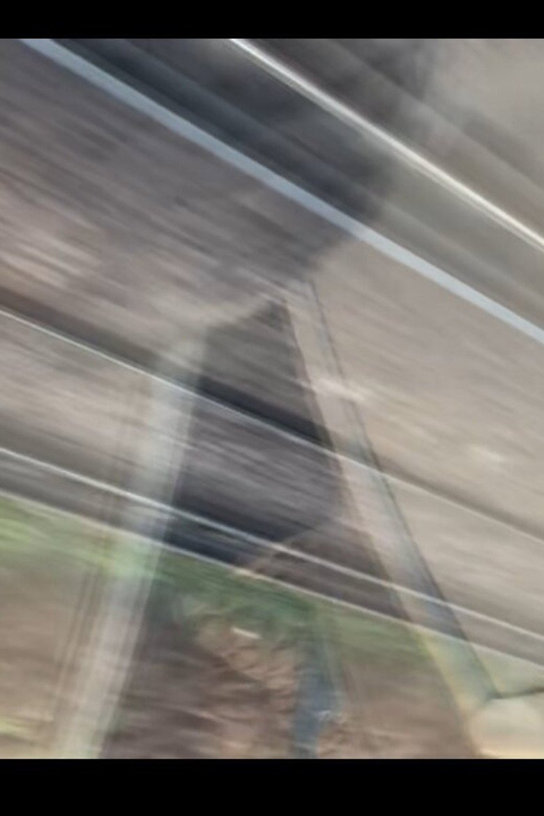 Train To Waterloo, Courtesy Of Fishmans (2026) official movie poster