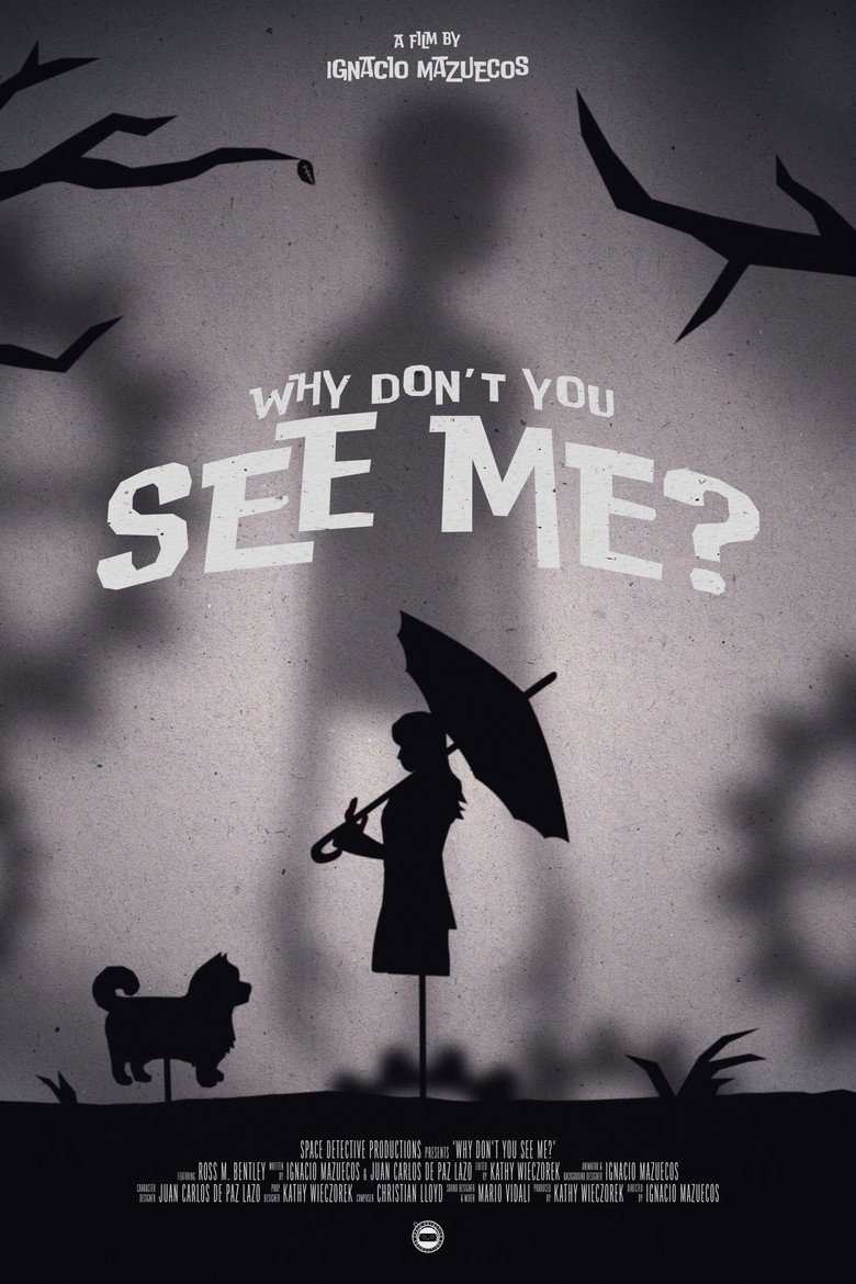 Why Don't You See Me? (2026) official movie poster